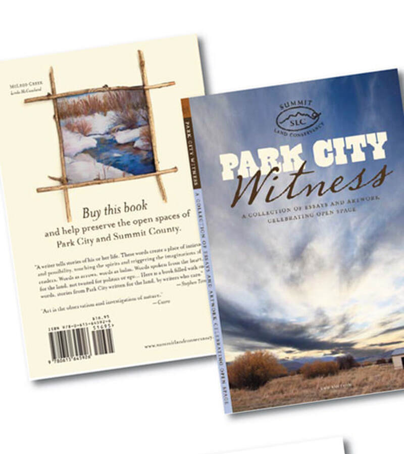 design, layout and production of 80-page collection of essays and artwork for local open space non-profit
